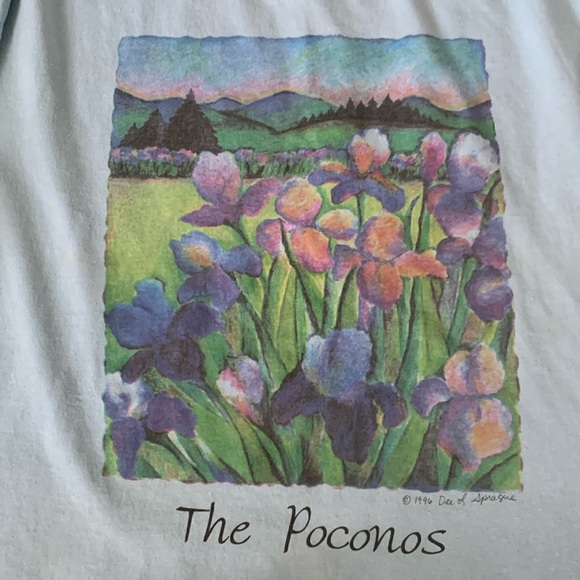 VTG 90s Single Stitch Poconos Shirt Deep L Sprague 1996 large X-Large medium - Picture 2 of 10